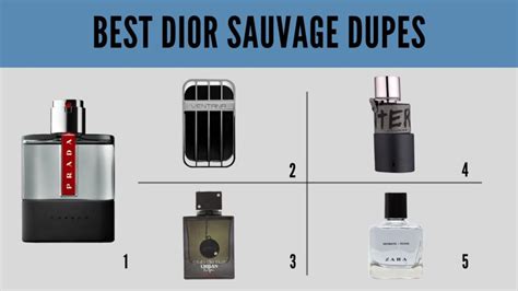 best dior sauvage elixir dupe
